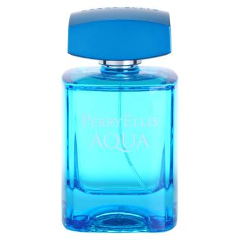 Perry Ellis Aqua toaletní voda pro muže 100 ml