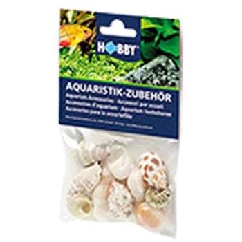 Hobby Sea Shells Set M 10 ks (4011444402226)