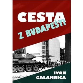 Cesta z Budapešti (999-00-034-6732-4)