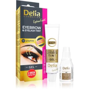 Delia Cosmetics Eyebrow Expert barva na obočí a řasy s aktivátorem odstín 1.1. Graphite 2 x 15 ml