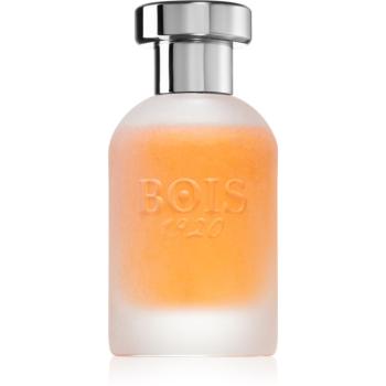 Bois 1920 Come L'Amore parfémovaná voda unisex 100 ml