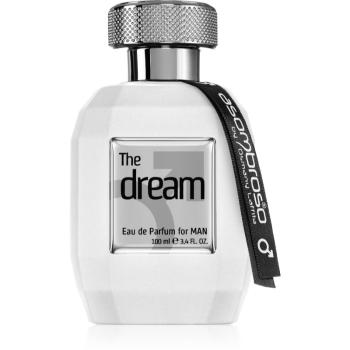 Asombroso by Osmany Laffita The Dream for Man parfémovaná voda pro muže 100 ml