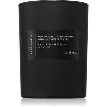 DW Home M. of W.G. Palo Santo vonná svíčka 250 g