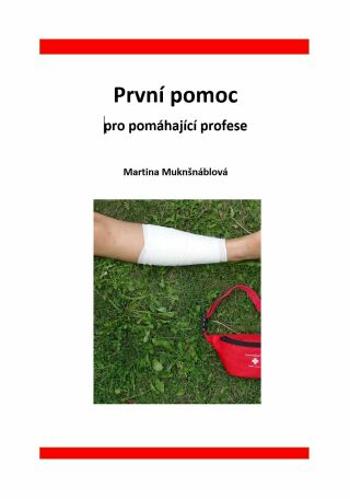 První pomoc pro pomáhající profese - Martina Muknšnáblová - e-kniha