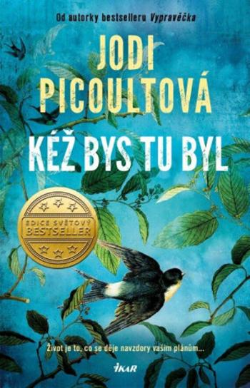 Kéž bys tu byl - Jodi Picoultová