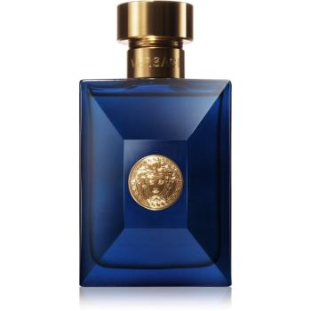 Versace Dylan Blue Pour Homme toaletní voda pro muže 50 ml