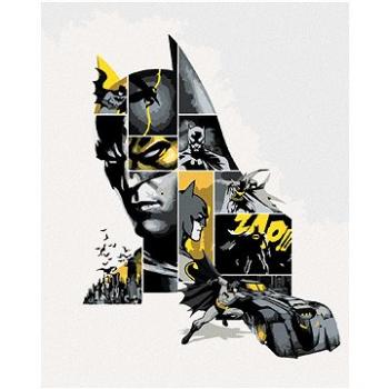 Zuty - Batman v šedé a žluté, 40×50 cm (HRAwlmal75nad)