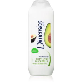 Dimension by Lux Avocado šampon pro všechny typy vlasů 250 ml