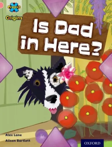 Project X Origins: Pink Book Band, Oxford Level 1+: My Family: Is Dad in Here? - Alex Lane