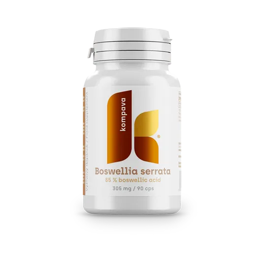 KOMPAVA Boswellia serrata 305 mg 90 kapslí