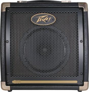 Peavey Ecoustic E20 Kombo pro elektroakustické nástroje