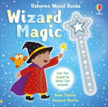 Wand Books: Wizard Magic - Sam Taplin