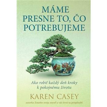 Máme presne to, čo potrebujeme: Ako robiť každý deň kroky k pokojnému životu (978-80-8109-400-2)