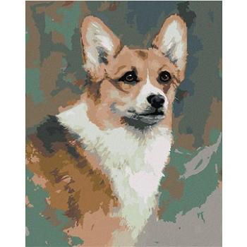 Zuty - Malování podle čísel – WELSH CORGI PEMBROKE (JIM KILLEN), 80x100 cm, vypnuté plátno na rám (HRAmmb04567nad)