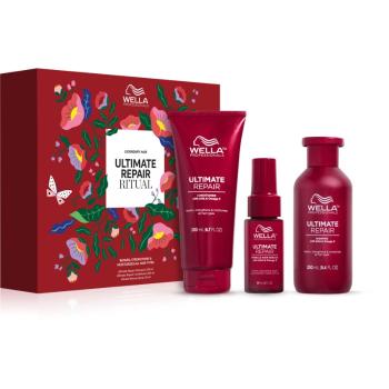 Wella Professionals Ultimate Repair Set dárková sada pro poškozené vlasy Spring