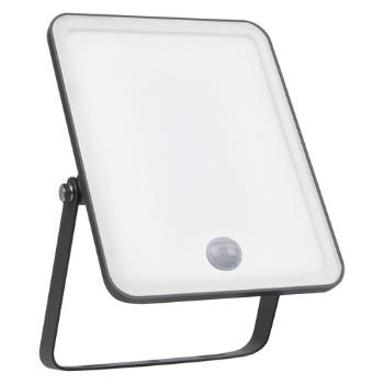 Ledvance Essential Floodlight kültéri LED reflektor mozgásérzékelővel, hidegfehér, 30 W