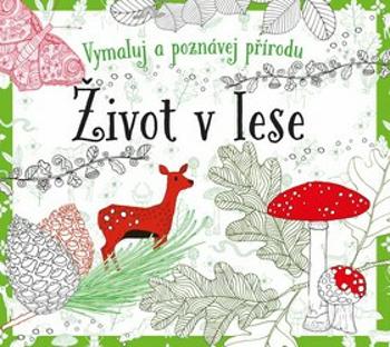 Život v lese - omalovánky - Susie Foster