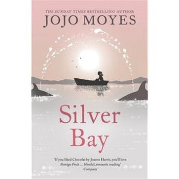 Silver Bay (9780340895931)