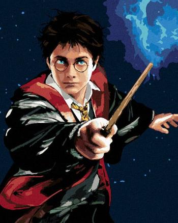 Zuty Malování podle čísel Harry Potter a hůlka