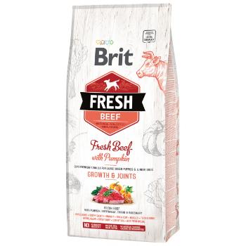 Brit Fresh Beef with Pumpkin Puppy Large 12kg