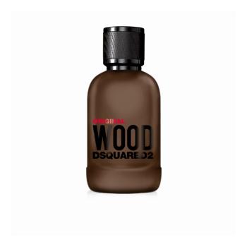 Dsquared2 Wood Original parfémová voda 100 ml