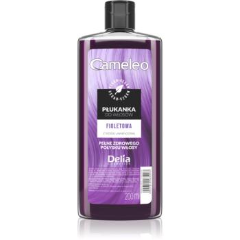 Delia Cosmetics Cameleo Flower Water tónovací barva na vlasy odstín Violet 200 ml