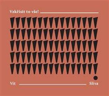 Vzkřísit to vše! - Vít Slíva