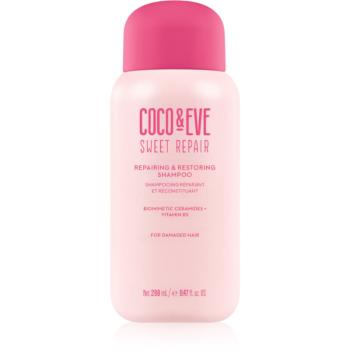 Coco & Eve Sweet Repair Repairing & Restoring Shampoo intenzivně regenerační šampon pro poškozené a barvené vlasy 280 ml