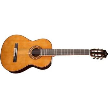 TANGLEWOOD EM D3 (HN230184)