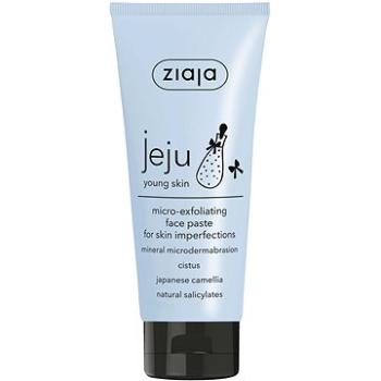 ZIAJA Jeju Mikro-exfoliační pleťová pasta 75 ml (5901887047261)