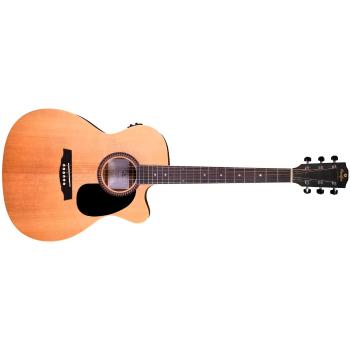 Prodipe Guitars SA25 CEQ