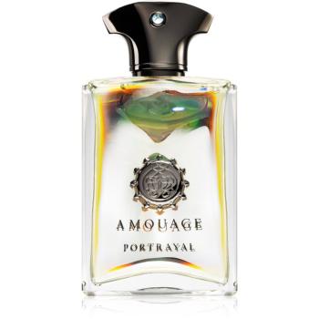 Amouage Portrayal parfémovaná voda pro muže 100 ml