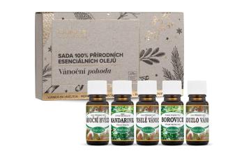 Saloos Vánoční pohoda sada esenciálních olejů 5x10 ml