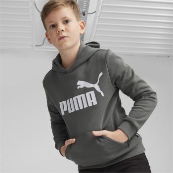 Puma ESS Big Logo Hoodie FL B 140