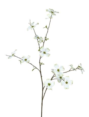 Dekorace umělá větvička Dřín japonský Dogwood - 33*100 cm P820158