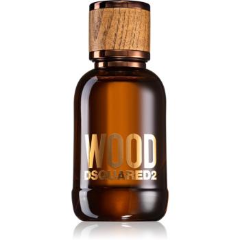 Dsquared2 Wood Pour Homme toaletní voda pro muže 50 ml