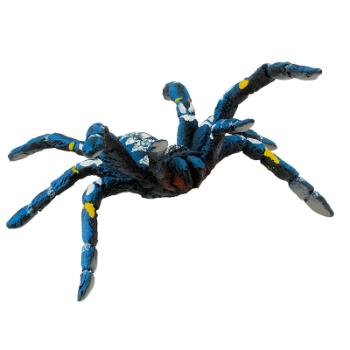 Tarantule modrá