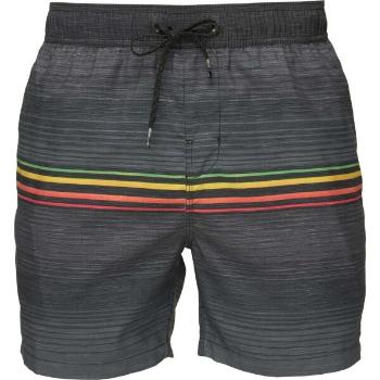 Billabong ALL DAY HTR STRIPE  LB Pánské plavky, tmavě modrá, velikost