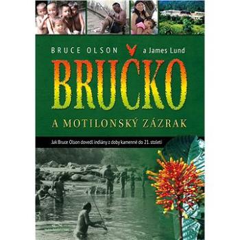 Bručko a motilonský zázrak (978-80-87904-67-1)