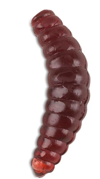 Saenger iron trout gumové nástrahy bee maggots 2,5 cm-barva br