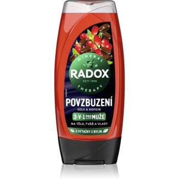 Radox Men Invigorating sprchový gel pro muže 3 v 1 225 ml