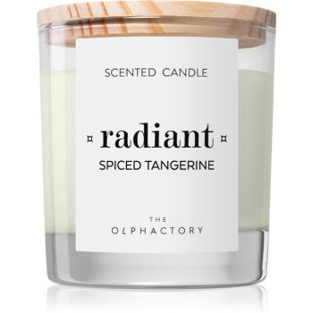 Ambientair The Olphactory Spiced Tangerine vonná svíčka Radiant 200 g