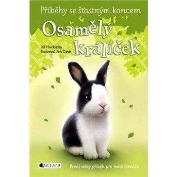 Příběhy se šťastným koncem – Osamělý králíček (978-80-253-2364-9)