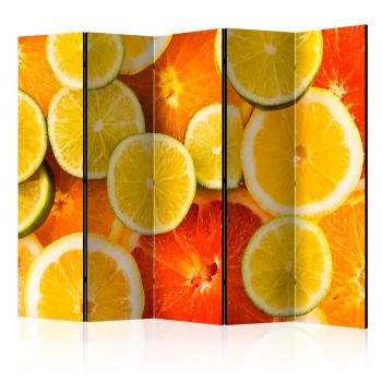 Paraván Citrus fruits Dekorhome 225x172 cm (5-dílný)