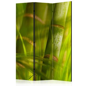 Paraván Bamboo - nature zen Dekorhome 135x172 cm (3-dílný)