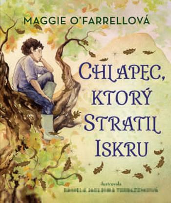 Chlapec, ktorý stratil iskru - Maggie O'Farrellová