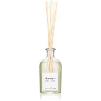 Ambientair The Olphactory Citrus & Shades aroma difuzér Forever 250 ml