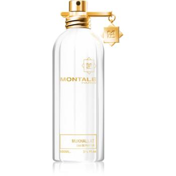 Montale Mukhallat parfémovaná voda unisex 100 ml