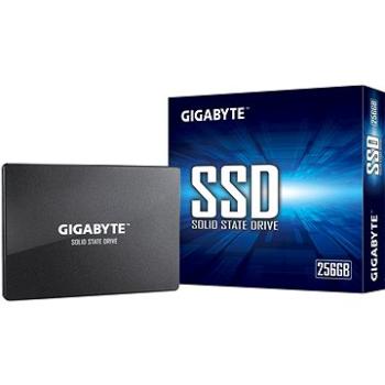 GIGABYTE SSD 256GB (GP-GSTFS31256GTND)