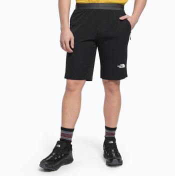 The North Face Men’s Ao Woven Short -Eu S